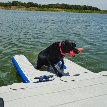 EZ Inflatable Dog Ladder