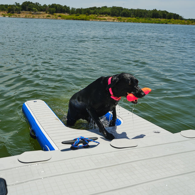 EZ Inflatable Dog Ladder