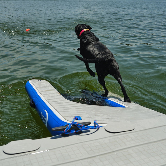EZ Inflatable Dog Ladder